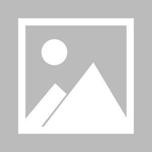 张子宇过于无解！三战33中23轰52+24 宫鲁鸣单独指导效果拔群