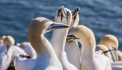 开云体育：让热爱体育的人更懂得享受每一场比赛